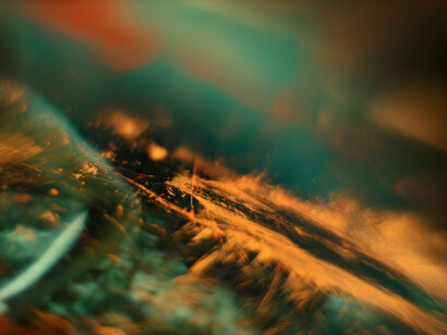 Illusions in the dream state
