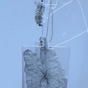 Deatlle de «Ensayo para un Tejido Referencial». Instalación 'in situ', 2015.