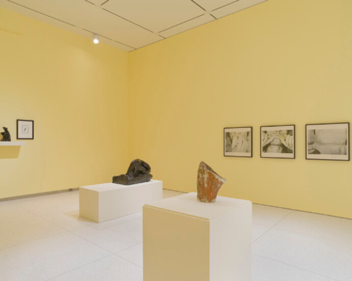 The Hysterical Material. Courtesy of Smart Museum of Art