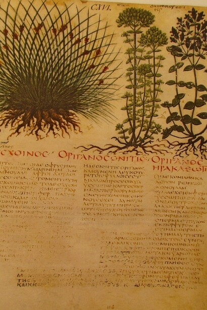 Giunco e Origani
