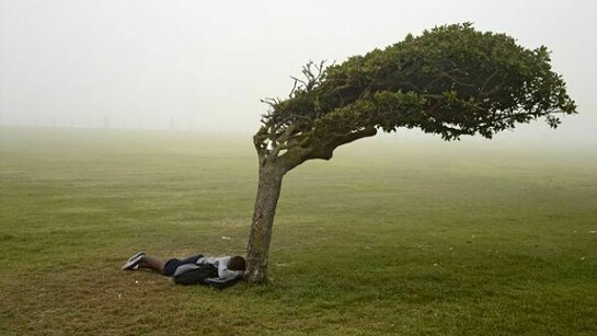 Pieter Hugo, From the series Kin, Green Point Common, Cape Town, 2013, Digital C-Print © Pieter Hugo, Courtesy Yossi Milo Gallery, New York