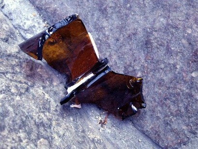 Pipistrello  
