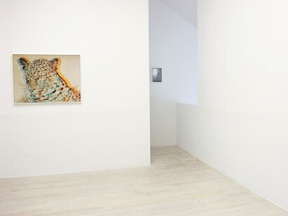 Paradise Window. Courtesy of Halsey McKay Gallery