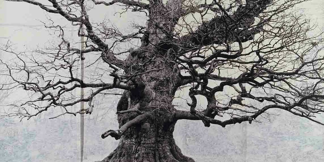 Tacita Dean. Courtesy of Royal Academy of Arts