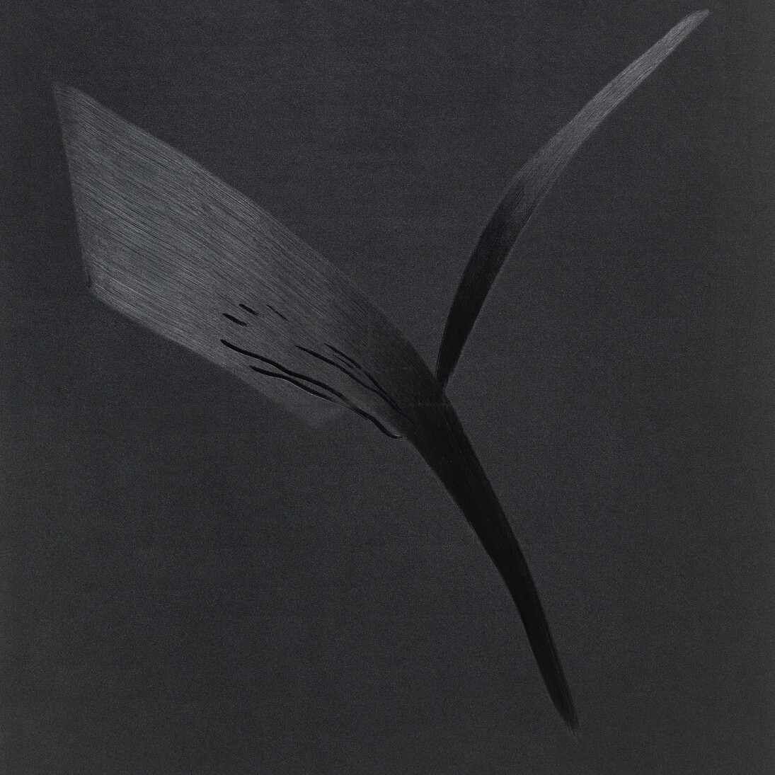 Thilo Heinzmann, “O.T.” 2014, Oil on canvas, plexiglas cover, 183 x 153 x 9 cm / 72 1/16 x 60 1/4 x 3 1/2 inches, Courtesy Galerie Perrotin