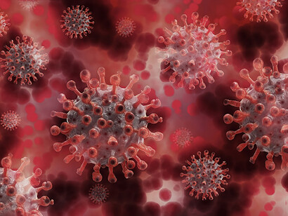 La gran gripe española, prototipo de las pandemias modernas