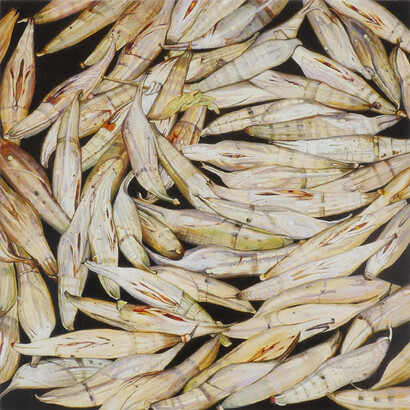 Isabella Kirkland, Ascia sp. chrysalises (detail), 2023. Courtesy of Hosfelt Gallery