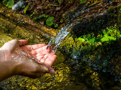Water has peculiar physical and chemical nature