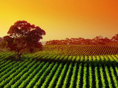 Hablar de desarrollo ya no es una obviedad