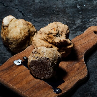 La ricerca del tartufo, spesso effettuata con l'aiuto di cani o maiali addestrati, divenne una vera e propria tradizione, specialmente nelle regioni del Piemonte e della Provenza