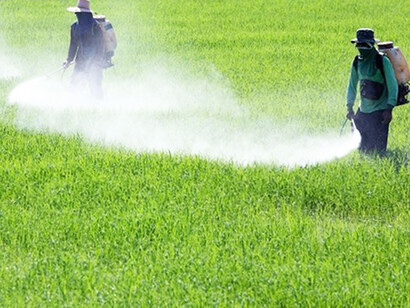 Un pericolo per l'ambiente