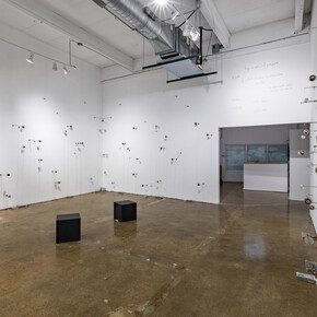 Alba Triana, Dialogue with the primordial sea, exhibition view. Courtesy of Locust Projects. Photo by Pedro Wazzan