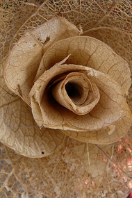 Ferias artesanales en Brasil. Flor de cerrado