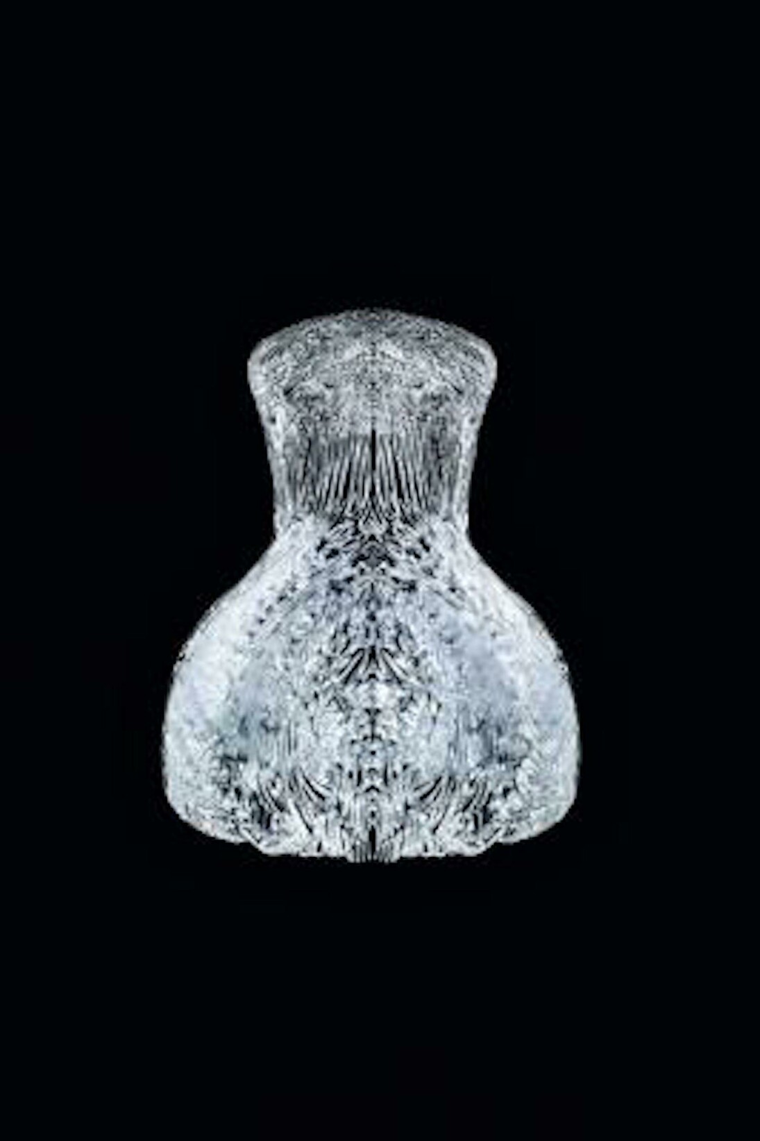 Iris van Herpen. Courtesy of Dallas Museum of Art
