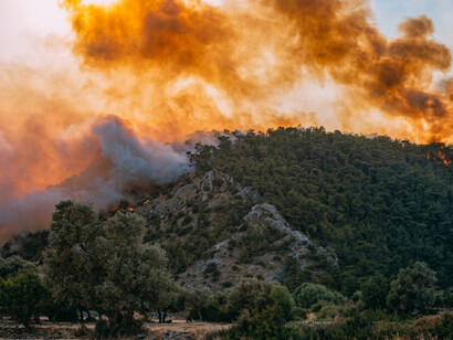 Forest fires becoming more frequent and severe due to climate change