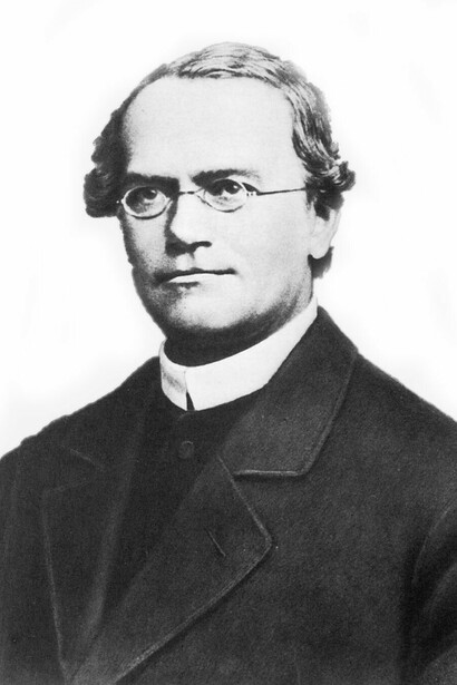 Gregor Mendel, photo de date inconnue, est connu comme le "père de la génétique" grâce à ses expériences sur les plantes de pois qui ont jeté les bases de la compréhension de l'hérédité