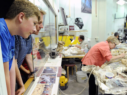 Prehistoric Journey. Courtesy of Denver Museum of Nature & Science