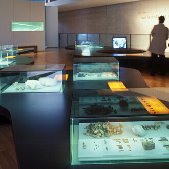 Yesterday…Between the Mediterranean and the North Sea, exhibition view. Courtesy of Laténium 