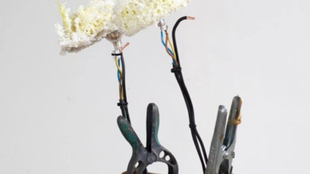 Postnaturalia. Courtesy of Collezione Maramotti