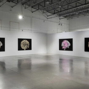 Geneviève Cadieux, Wild is the wind, exhibition view. Courtesy of Blouin Division