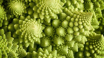 È sicuramente un consiglio salutare che i cavoli siano frequentemente presenti nei nostri pasti