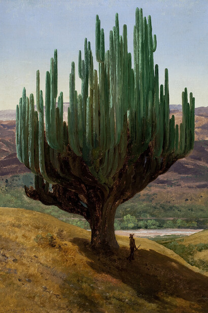 José María Velasco, Cardón, state of Oaxaca, 1887. Courtesy of The National Gallery