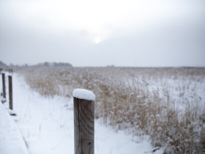 Only we hear our ‘secret song’, ph. Michael Stillwater