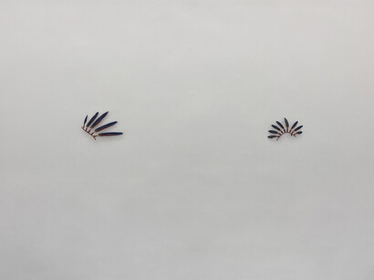 Donna Conlon, Listen to the hummingbird, exhibition view. Courtesy of Galería Espacio Mínimo