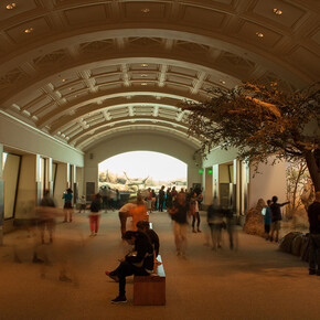 Tusher African Hall. Courtesy of California Academy of Sciences