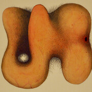 Tutte le immagini Simone Racheli, L'incerto, 2013 acquerello, grafite su carta intelata cm 45 x 45