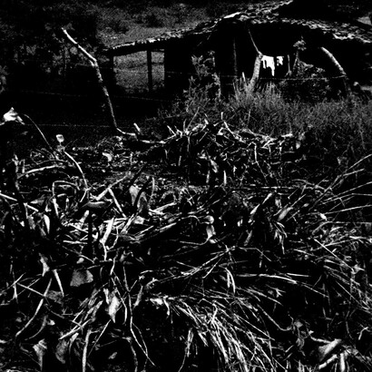 © Adrián Valenciano Álvarez