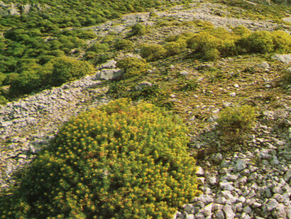 Le rocche del Crasto sui Nebrodi. Foto di Gino Fabio