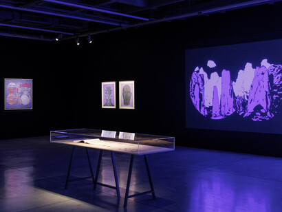 Berke Yazıcıoğlu, Helix, exhibition view. Courtesy of Dirimart Pera