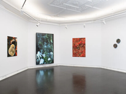 Sunjeong Hwang and Wonhae Hwang, Skin and nerve, exhibition view. Courtesy of Galerie Kornfeld