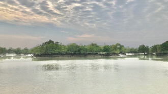 Le fleuve Gange, en Inde, tissé de racines et de légendes, mène les eaux douces vers l’étreinte du golfe