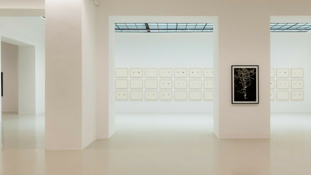 Maximilian Prüfer, Exhibition view. Courtesy of Galerie Lisa Kandlhofer