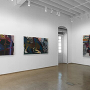 Kaveri Raina, Of fire-harpoons, exhibition view. Courtesy of Experimenter