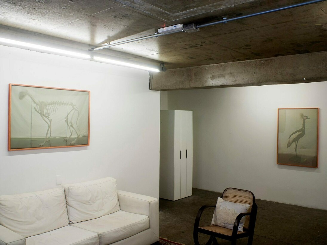OJardim, Exhbition view. Courtesy of Galeria Mezanino
