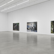 Emma Webster, Rues and leaves themselves alone, exhibition view. Courtesy of Petzel Gallery