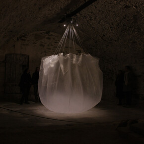Maxime Boutin, Turritopsis Nutricula, 350 x 600 cm, 2013. Courtesy the artist
