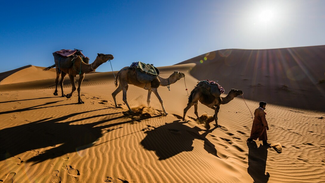 Sahara desert