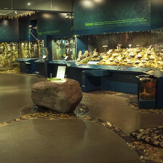 Plants and fungi of Latvia, exhibition view. Courtesy of the Latvian National Museum of Natural History
