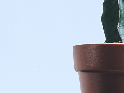 España cuenta con 15 compañías dentro del Dow Jones Sustainability Index