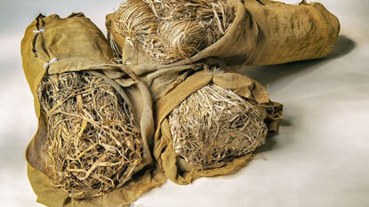 Paper technology. Courtesy of German Museum of Technology