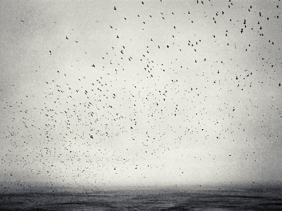 Joakim Eskildsen, Nordic Signs and The Roma Journeys. Courtesy of Purdy Hicks 