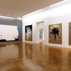 Markus Huemer, A football pitch must be free from trees, exhibition view. Courtesy of Neue Galerie Graz