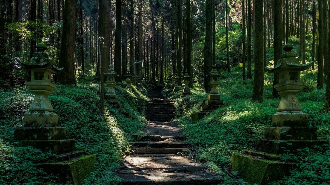 Bagno di foresta