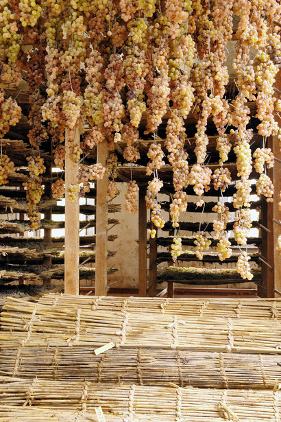 Vinsantaia a Montecarlo