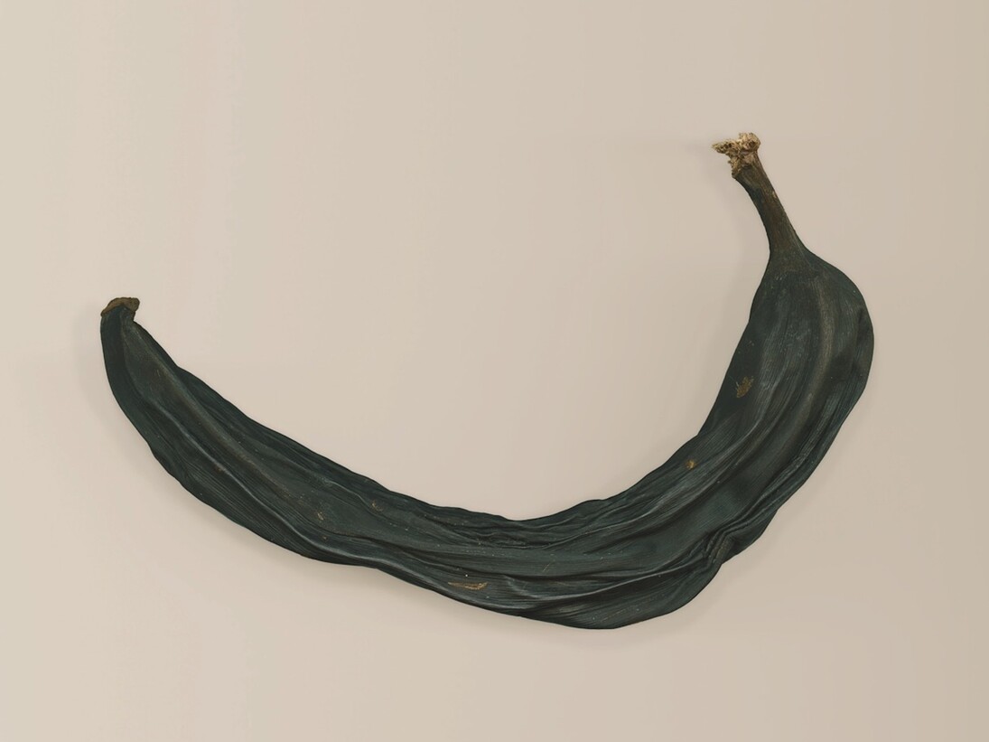 Edgar Martins. Courtesy of The Moth House 