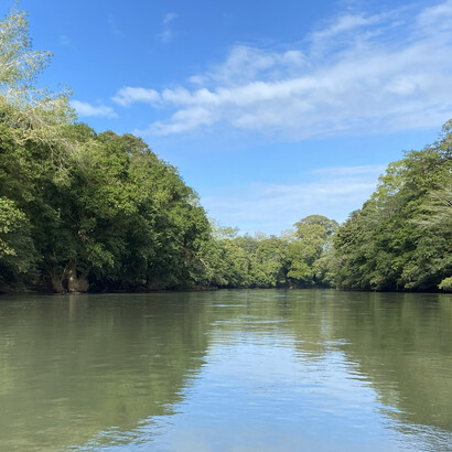 Bosque en la ribera del río Sarapiquí